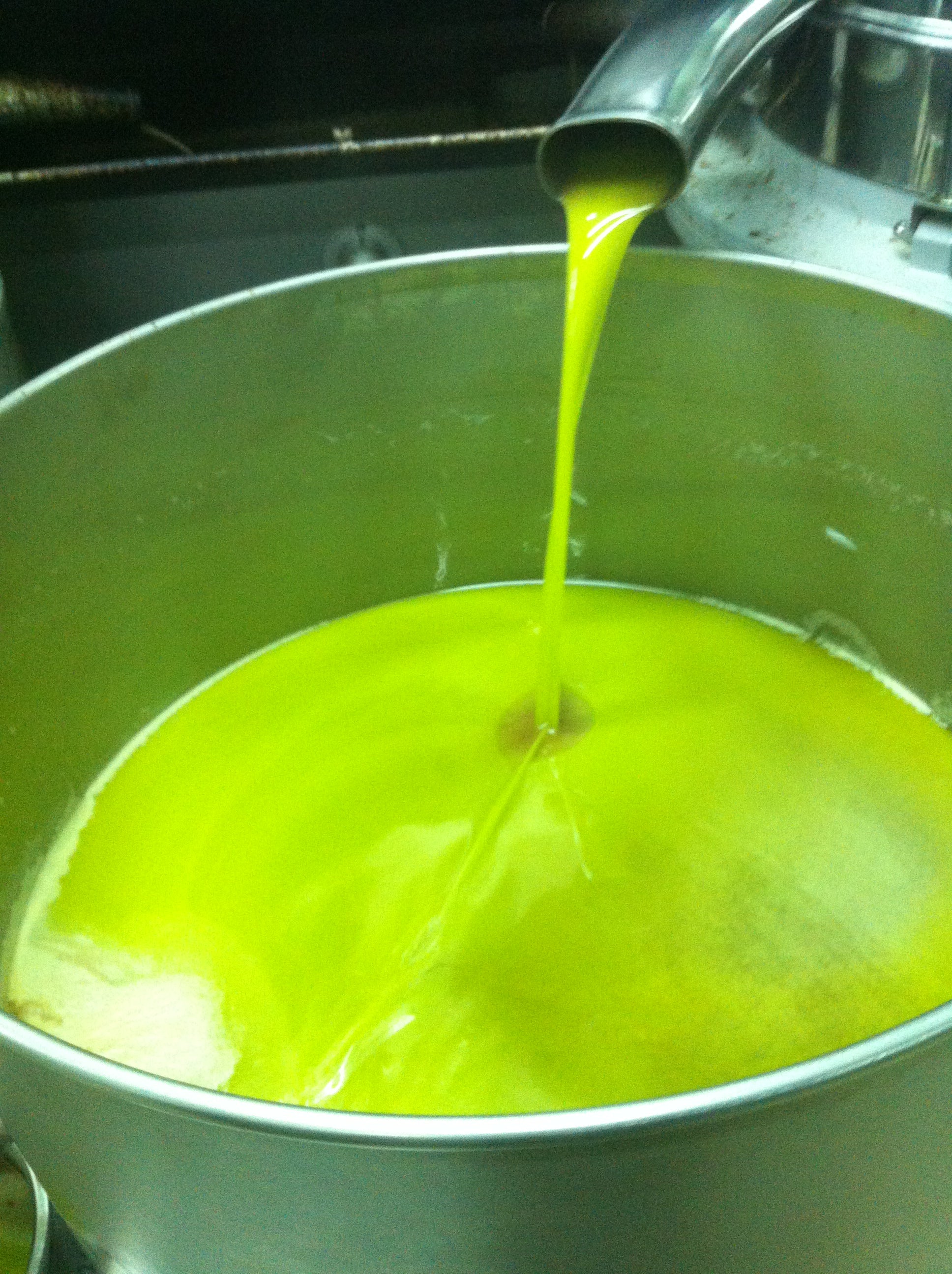 Buy Authentic Calabrian Extra Virgin Olive Oil Online – The Ultimate Guide