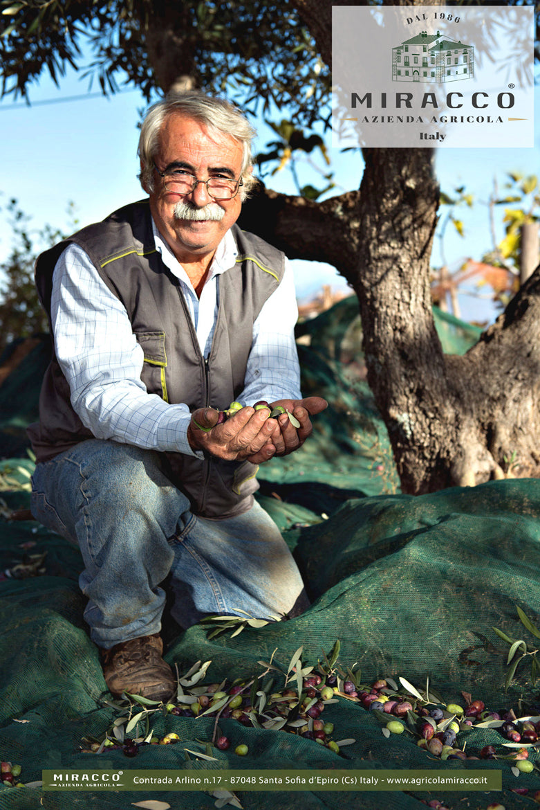 Olio Extravergine di Oliva - Bio - Prodotto in Calabria in Pet 3 Litri